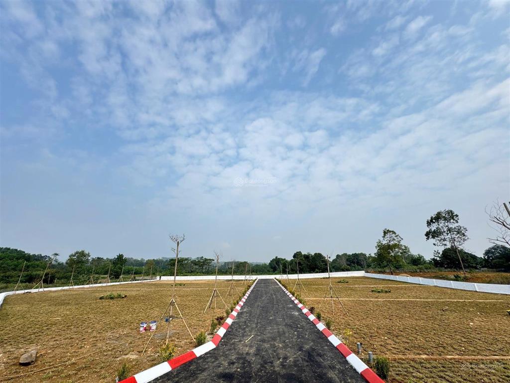 Cần bán khu đất đã phân lô gần satoyma, giá đầu tư