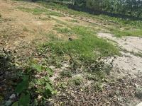Chủ cần tiền bán nhanh 66m gần chợ bê tông thuộc xã xuân mai hà nội giá đầu tư