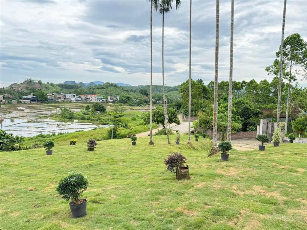 Cần bán lô đất nghỉ dưỡng 1961m2 view cánh đồng