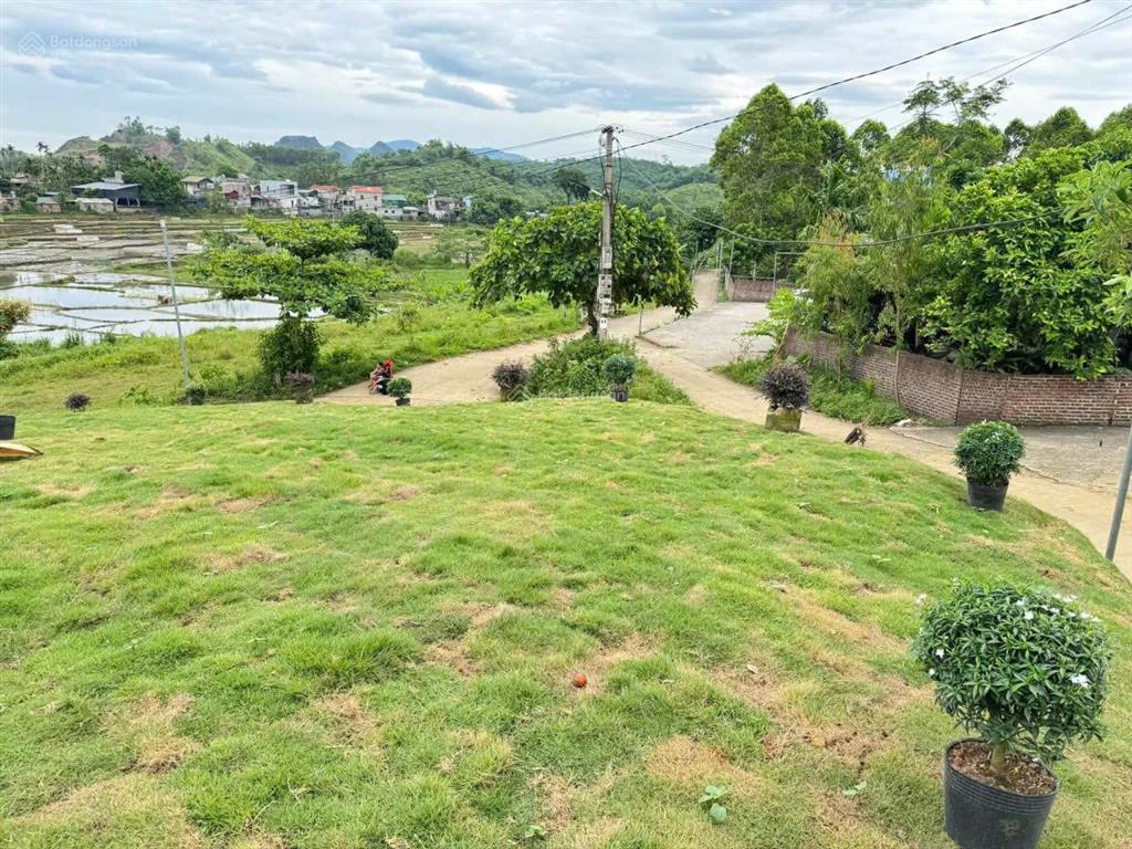 Cần bán lô đất nghỉ dưỡng 1961m2 view cánh đồng