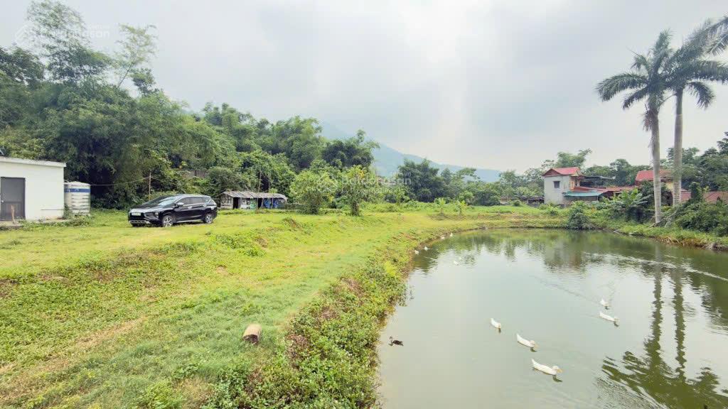 Cần bán nhà vườn view cánh đồng dt 3100m tại liên sơn (cư yên cũ)