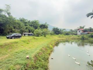 Cần bán nhà vườn view cánh đồng dt 3100m tại liên sơn (cư yên cũ)