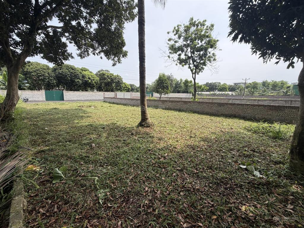 Bán đất tại hòa sơn, 3,2 tỷ, 370m2, mặt tiền 11m, nhiều tiện ích đẹp