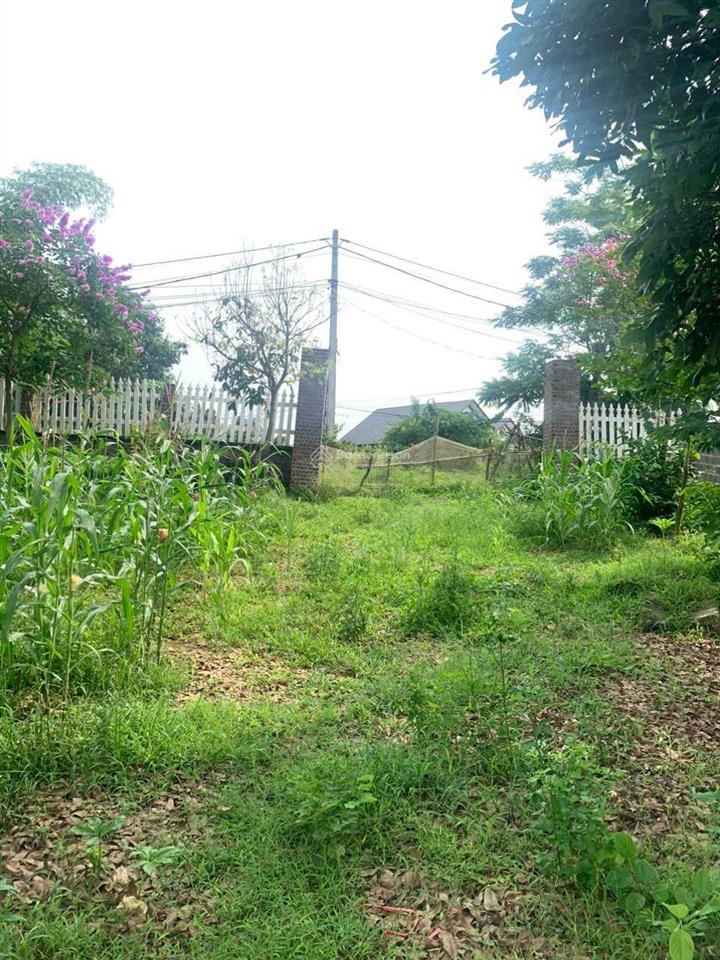 Chuyển nhượng lô đất tại hoà sơn, lương sơn, hoà bình