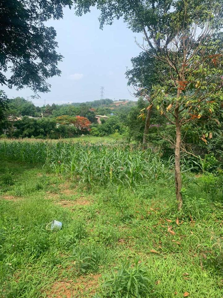 Chuyển nhượng lô đất tại hoà sơn, lương sơn, hoà bình