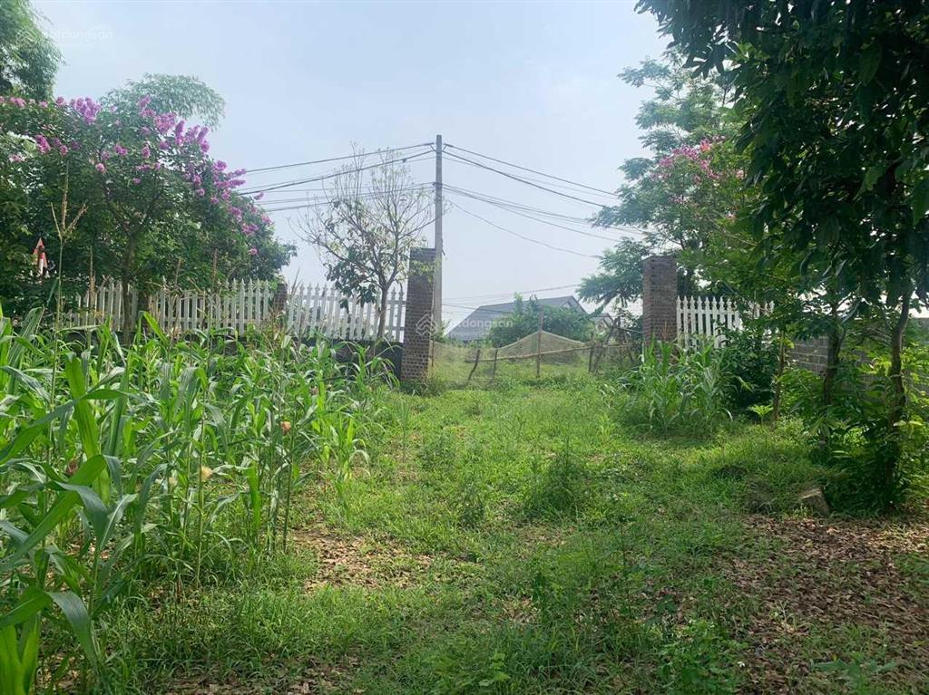 Chuyển nhượng lô đất tại hoà sơn, lương sơn, hoà bình