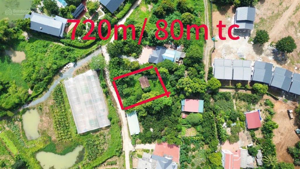 Cần chuyển nhượng diện tích 720m2 có 80m2 tc, còn lại là đất trồng cây lâu năm
