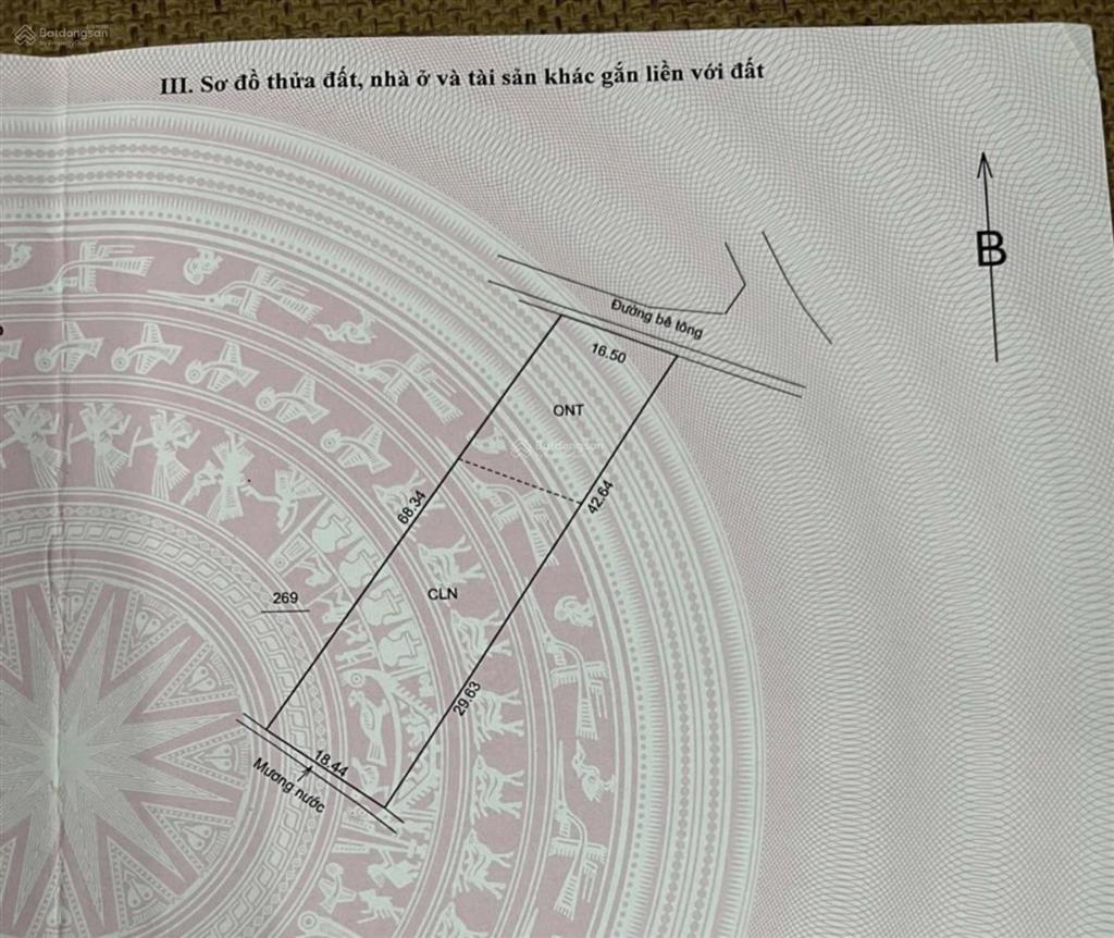 Chuyển nhượng lô đất hòa sơn nở hậu, thoai thoải, sổ đầy đủ, sang tên nhanh