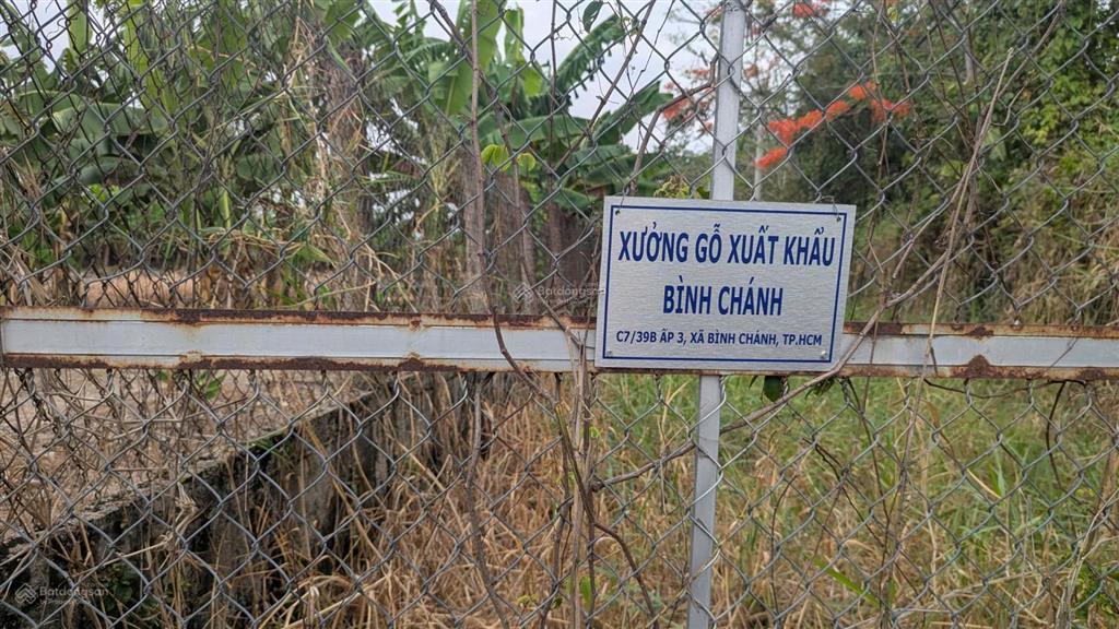 Gia đình cần sang lại khu đất có sẵn xưởng gỗ lâu năm tại xã bình chánh, huyện bình chánh.