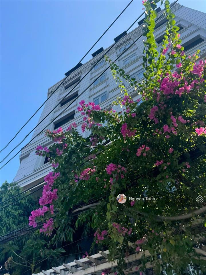 Rẻ hơn thị trường 20 tỷ  tài sản dòng tiền hiếm tại thảo điền  tòa căn hộ dịch vụ mặt tiền