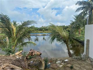 Gần kdl rừng dừa bảy mẫu, trước view công viên, sau view hồ cực đẹp  chỉ hơn 3 đồng