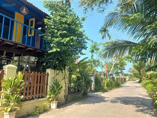 Nhìn là mê  view dừa, view sông cẩm thanh  chỉ hơn 2 đồng