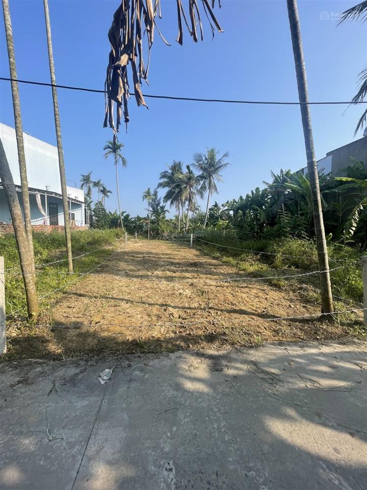 Bán gấp lô đất cẩm thanh đường ôtô 128m2 chỉ hơn 2 tỷ