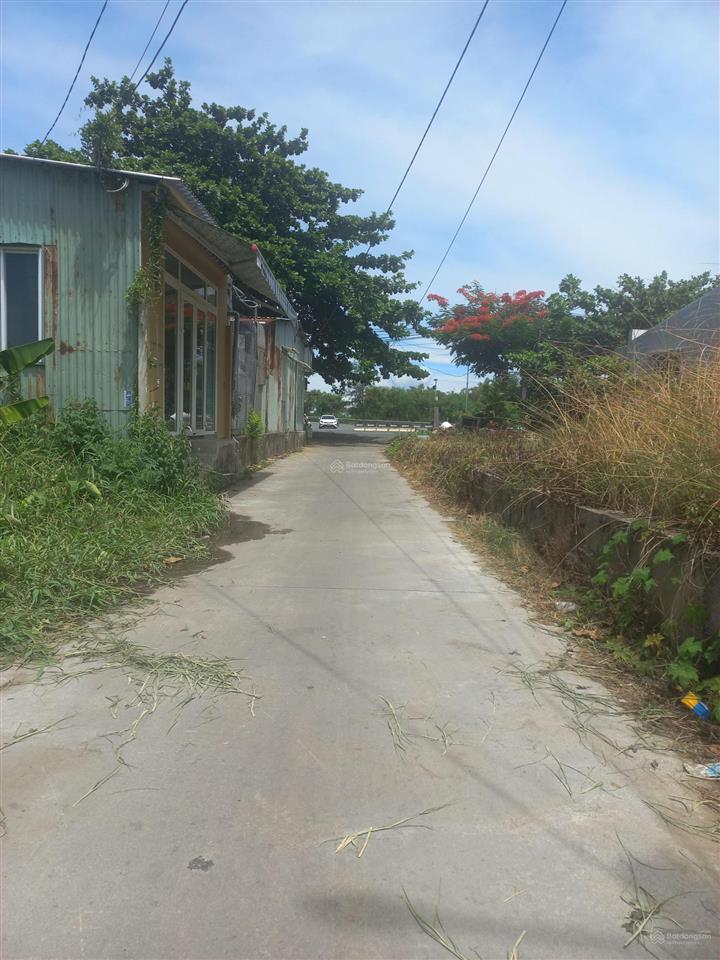 View lúa trực diện chỉ hơn 2 đồng, cơ hội hiếm gần phố cổ