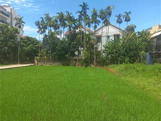 View lúa trực diện chỉ hơn 2 đồng, cơ hội hiếm gần phố cổ