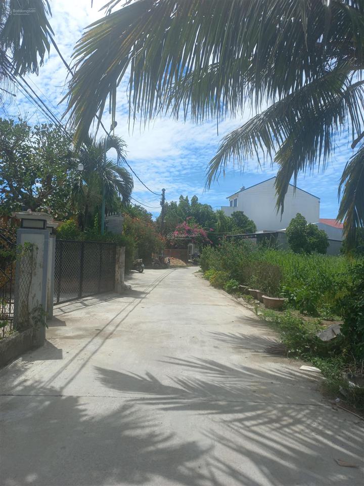View lúa trực diện chỉ hơn 2 đồng, cơ hội hiếm gần phố cổ