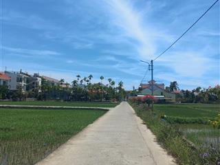 Đất đẹp tống văn sương, hội an vị trí gần đồng lúa khiến khách mê mẩn