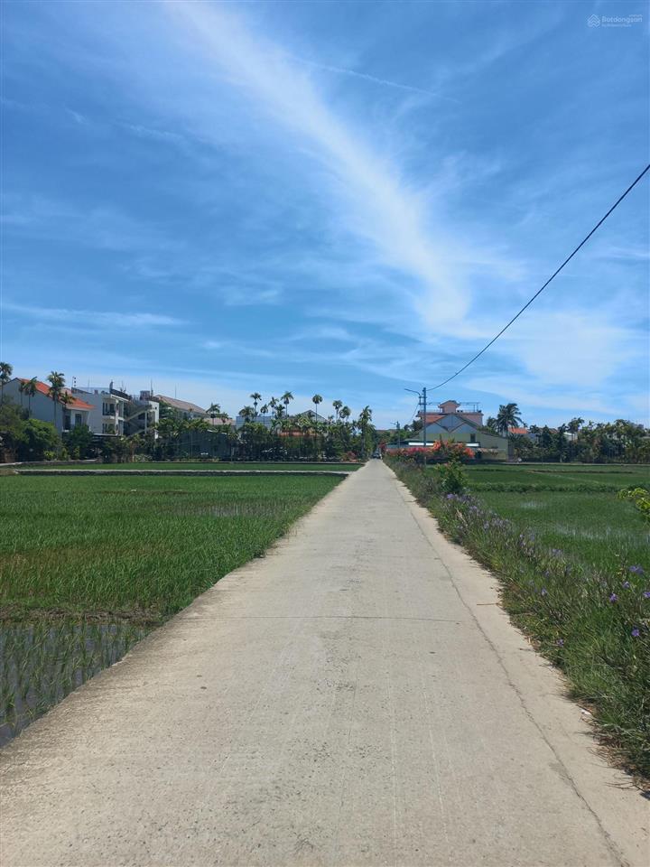 Đất đẹp tống văn sương, hội an vị trí gần đồng lúa khiến khách mê mẩn