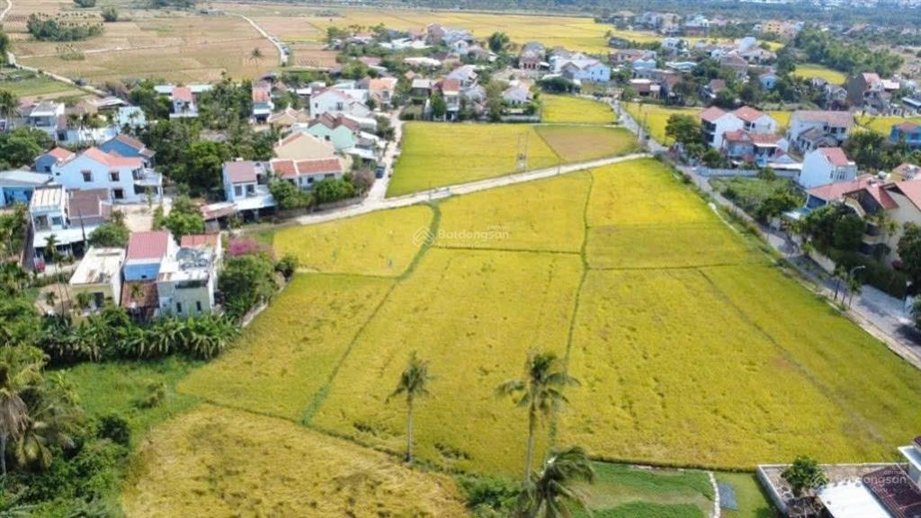 Giữa phố cổ & biển lô đất đẹp trong làng homestay view lúa