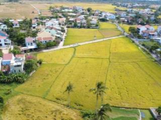 Giữa phố cổ & biển lô đất đẹp trong làng homestay view lúa