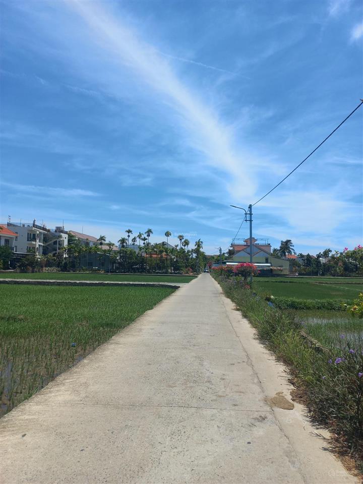 Siêu phẩm khu homestay view lúa hội an, chỉ hơn 26tr/m2
