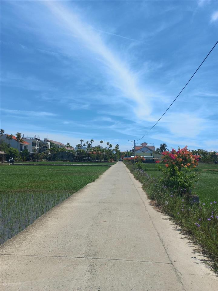 Siêu phẩm khu homestay view lúa hội an, chỉ hơn 26tr/m2
