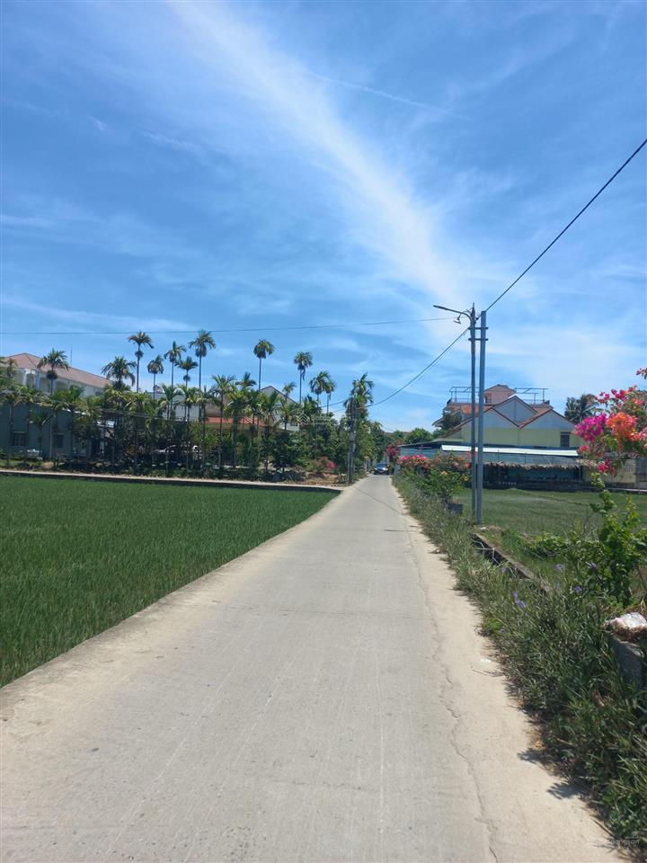 Siêu phẩm khu homestay view lúa hội an, chỉ hơn 26tr/m2