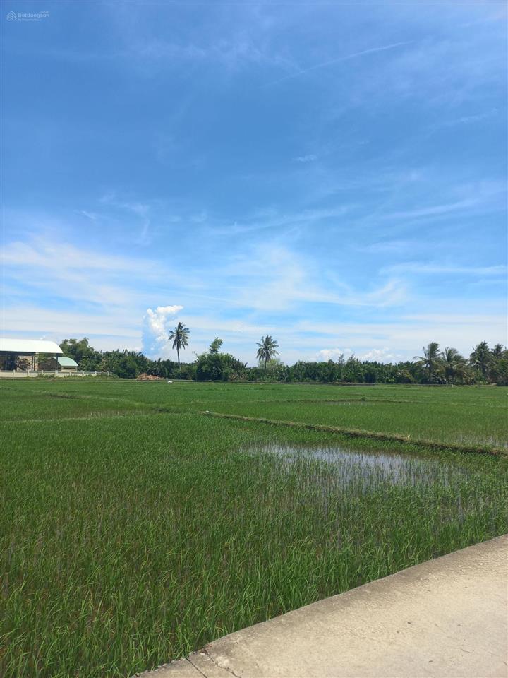 Siêu phẩm khu homestay view lúa hội an, chỉ hơn 26tr/m2