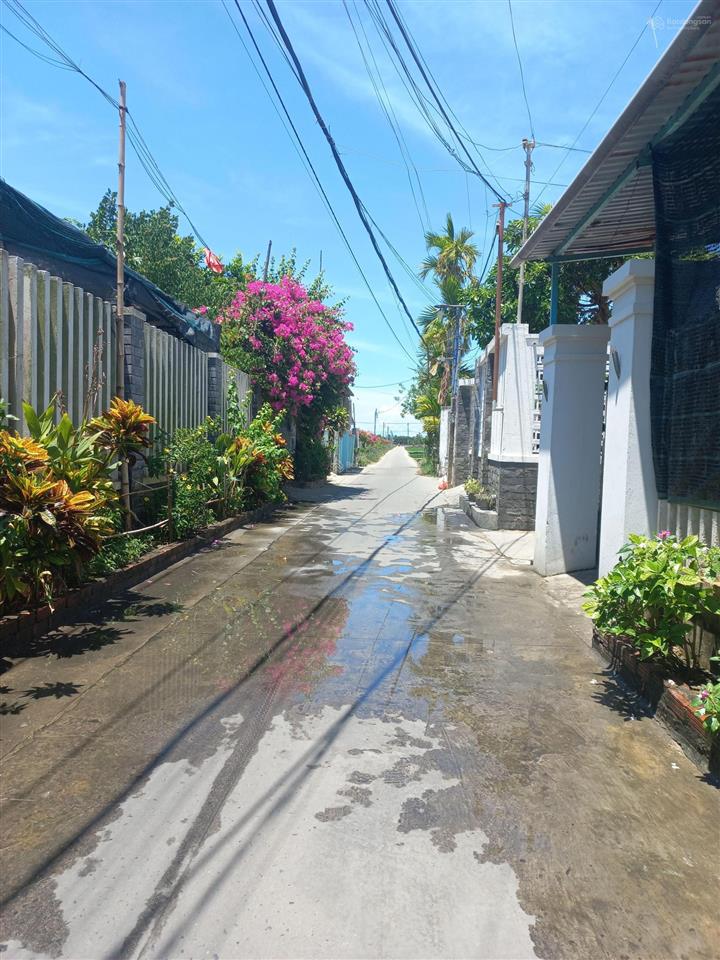 Siêu phẩm khu homestay view lúa hội an, chỉ hơn 26tr/m2