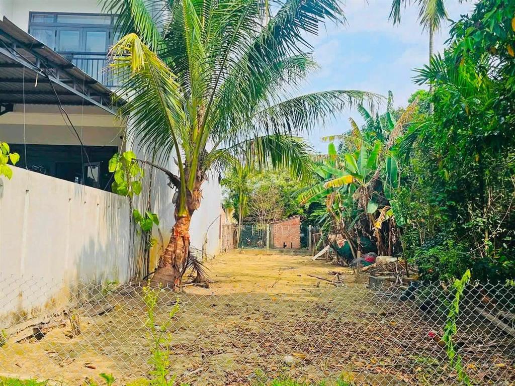 Gần chợ bà lê, đất đẹp khu homestay view lúa khách tây cực mê