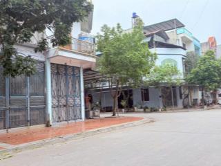 Hàng hiếm bãi dé, đình cả mới xuất hiện trên thị trường.