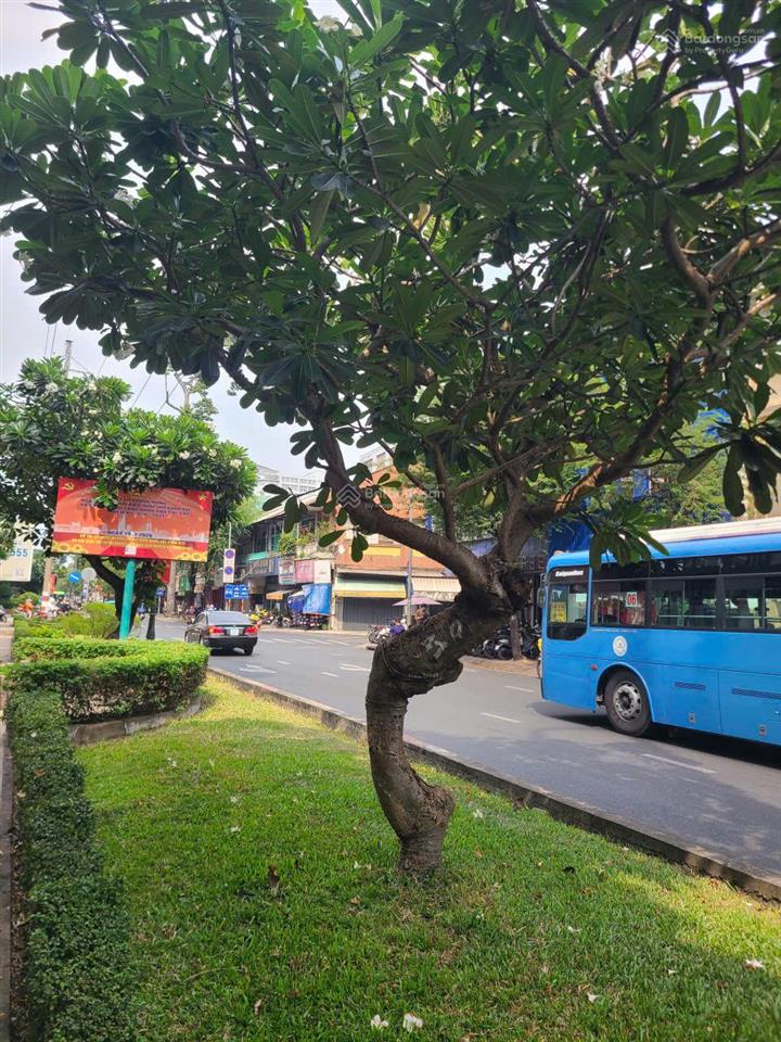 Bán nhà 1 đời chủ mặt tiền hồng bàng ngay bv đại học y dược p. 11 quận 5