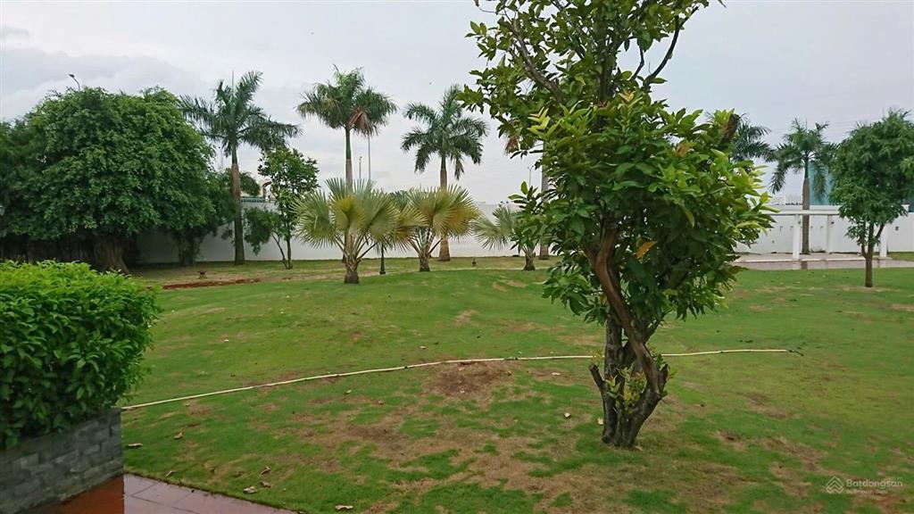 Gấp! chủ tịch tại hcm sang nhượng căn biệt thự đơn lập 2500m2 khu đỉnh nhất quận 2 hcm
