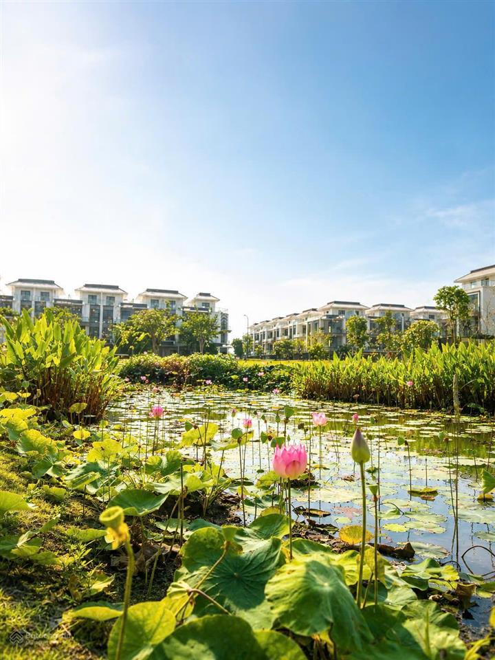 Căn hộ gladia heights  keppel, khang điền mở bán giá tốt tại quận 2  mapleland đvpp chính thức