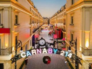Cho thuê liền kề 93m2, 5 tầng + 1 tum, tại rue de charme, 25tr/1 tháng. giá tốt hiện nay