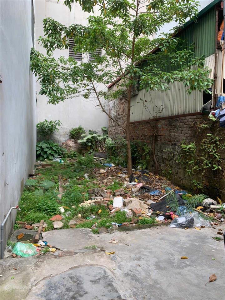 Hoa hậu việt hưng  hướng đông nam  cách đường ô tô đúng 10m