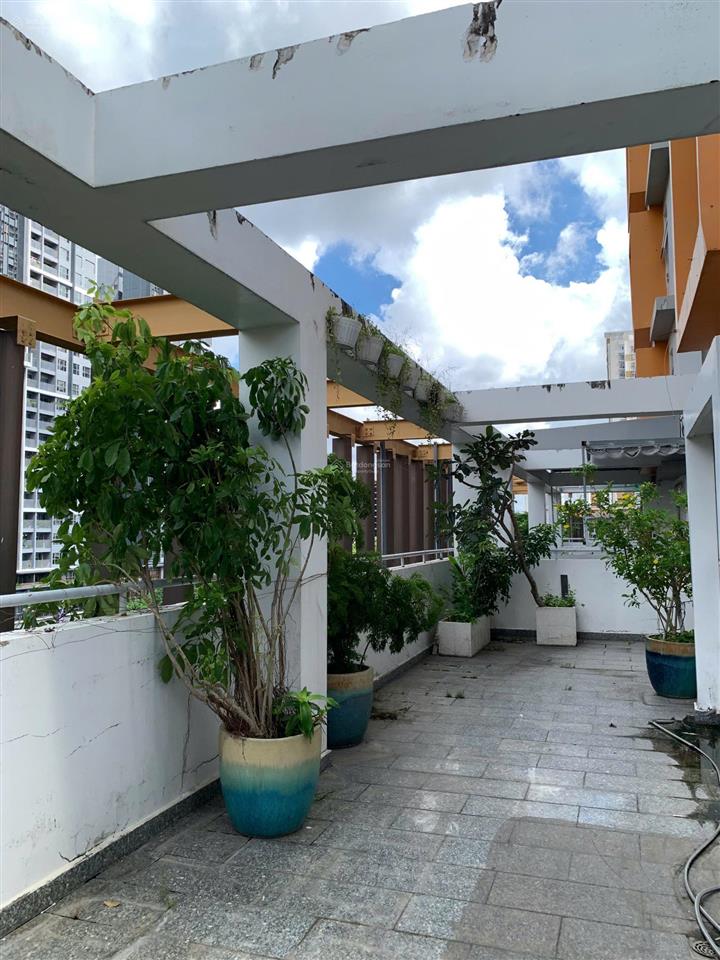 Căn hộ 3pn có diện tích sân vườn 90m2 hiếm có tại dragon hill cần bán, khách thích vườn phải xem