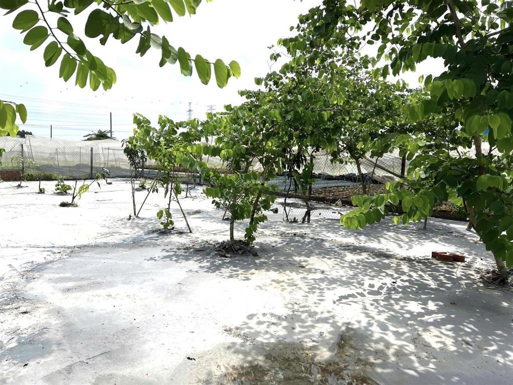 Đất thổ cư p trảng dài đồng nai 0348 065 ***