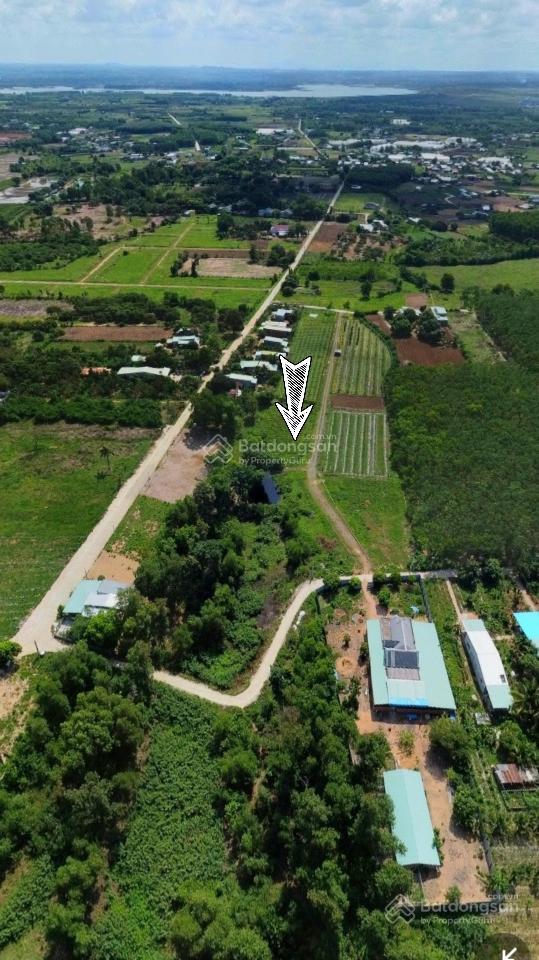 Đất view trực diện hồ châu pha, 2,8 tr/m2
