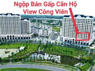 Ngộp cần bán gấp căn 2pn 3 tỷ có nội thất cơ bản, view trực diện công viên
