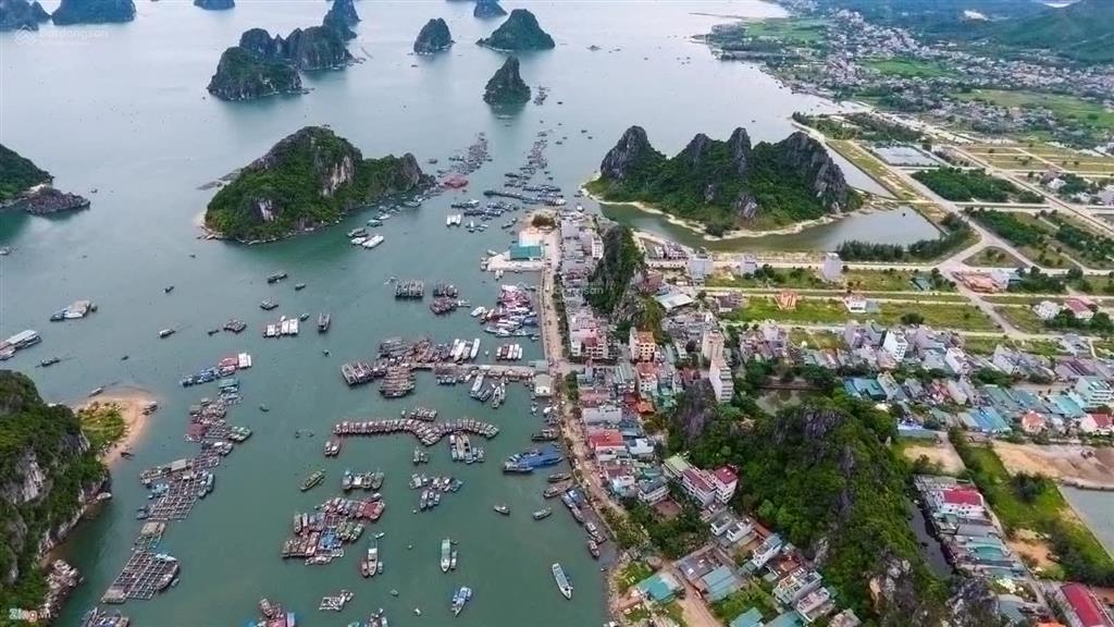 Tháng 06 ô góc đông nam giá 41 triệu/m2