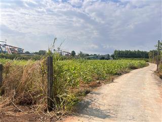 Đất đẹp trung tâm thị trấn phước bửu dt 156m2 thổ cư 80m2 giá tốt 1,25 tỷ