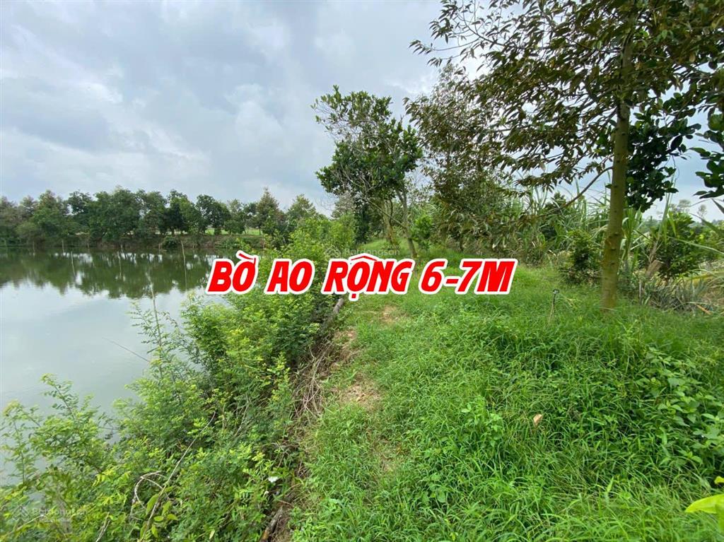Bán đất ruộng lên ao sẵn có nền nhà và cây ăn trái, thích hợp nuôi cá