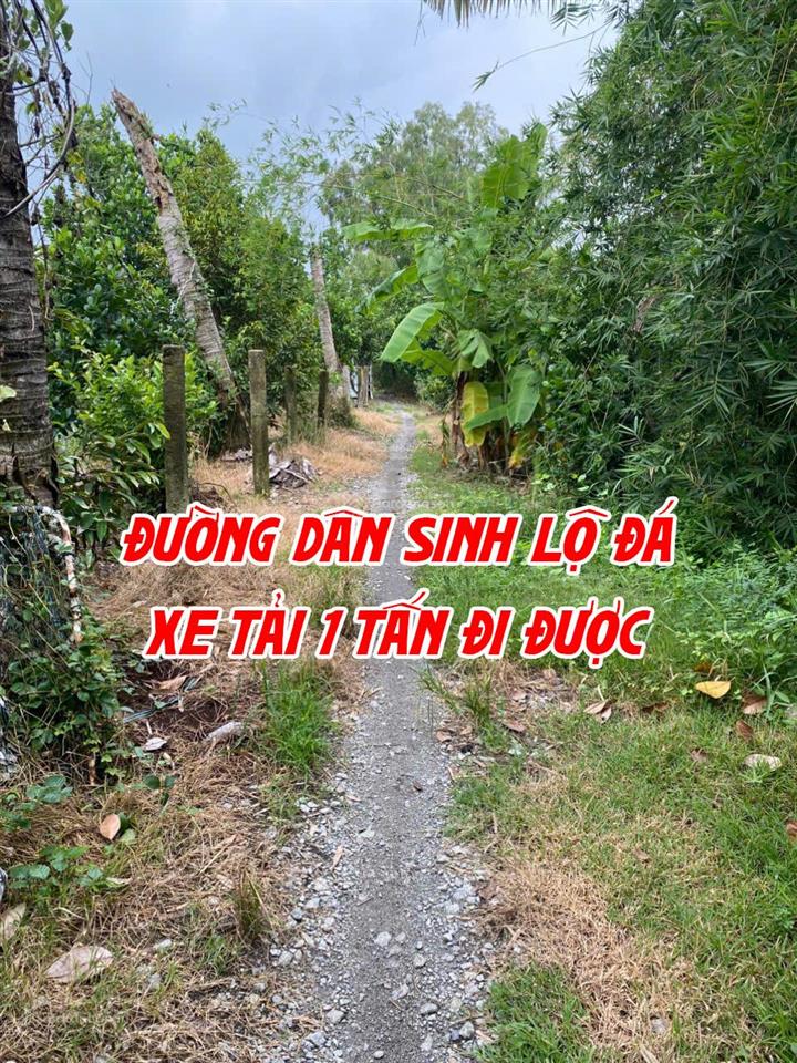 Bán đất ruộng lên ao sẵn có nền nhà và cây ăn trái, thích hợp nuôi cá