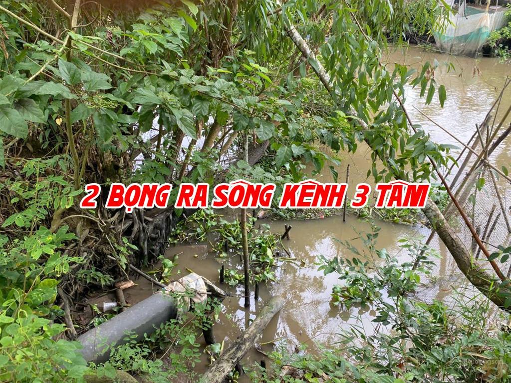 Bán đất ruộng lên ao sẵn có nền nhà và cây ăn trái, thích hợp nuôi cá