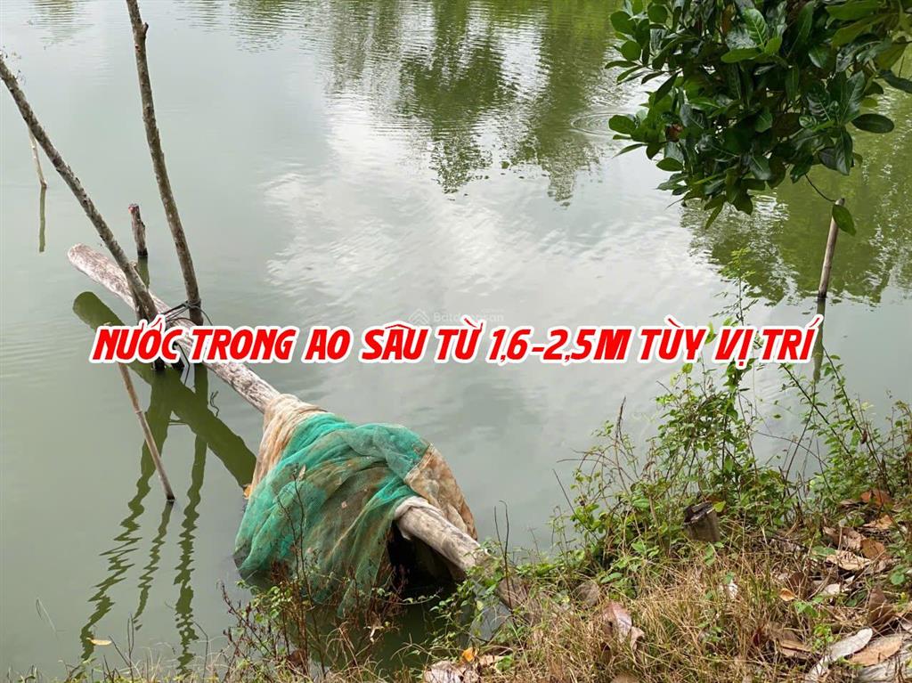 Bán đất ruộng lên ao sẵn có nền nhà và cây ăn trái, thích hợp nuôi cá