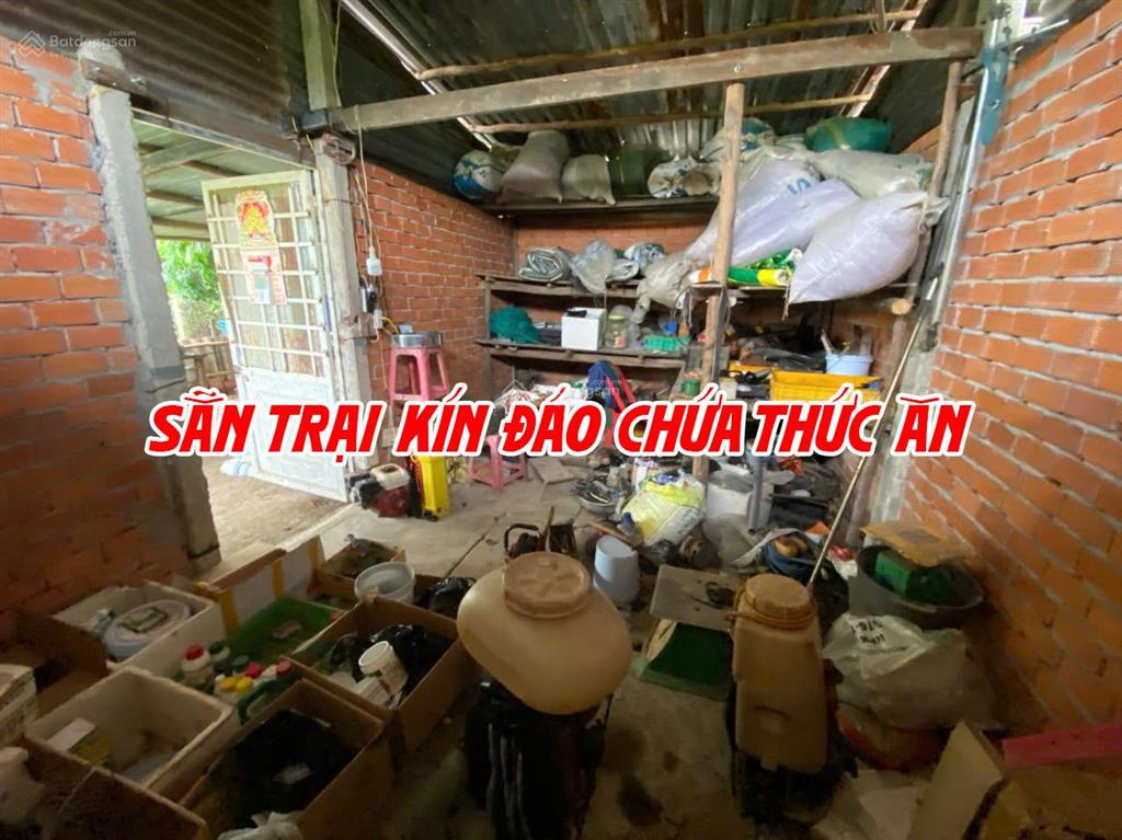 Bán đất ruộng lên ao sẵn có nền nhà và cây ăn trái, thích hợp nuôi cá