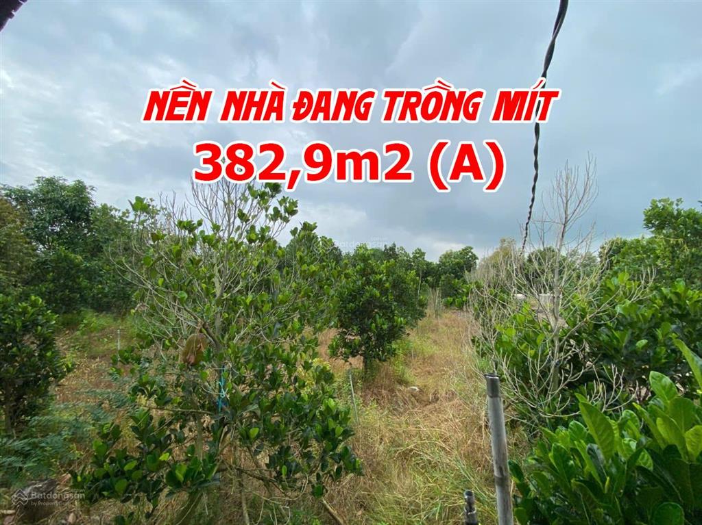 Bán đất ruộng lên ao sẵn có nền nhà và cây ăn trái, thích hợp nuôi cá