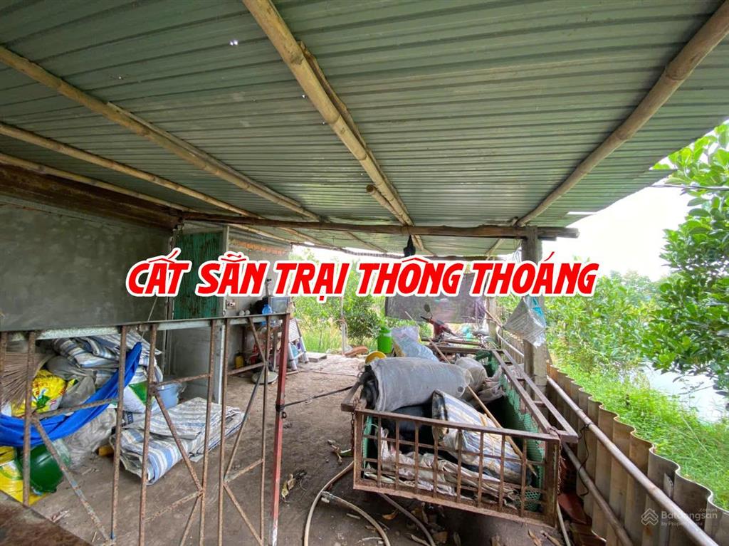 Bán đất ruộng lên ao sẵn có nền nhà và cây ăn trái, thích hợp nuôi cá