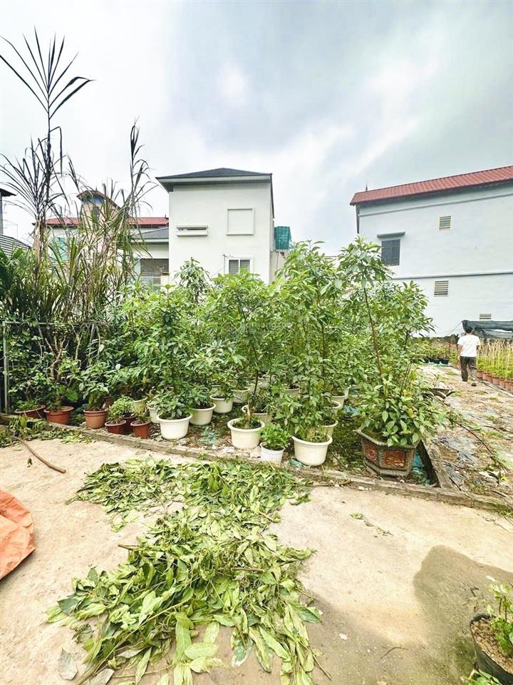 Bán 98m2 đất làng hoa phụng công, mặt tiền hơn 6m